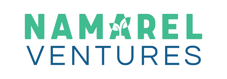 namarel-ventures-coronary-stent