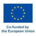 european-investor-stent-nimble